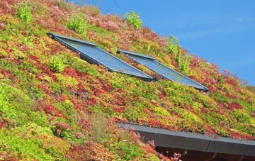 Bowley Town living roof systems